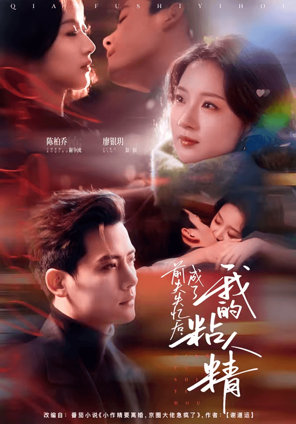 前夫失忆后，成了我的粘人精海报