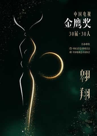 中国电视金鹰奖30届·30人海报