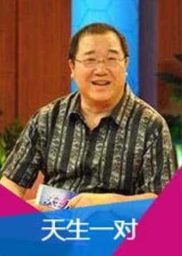 天生一对2013海报