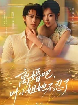 离婚吧，叶小姐她不忍了海报