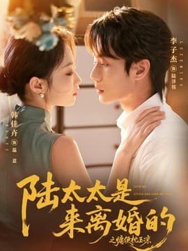 陆太太是来离婚的之慵便枕玉凉海报