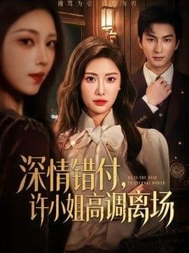 深情错付，许小姐高调离场海报