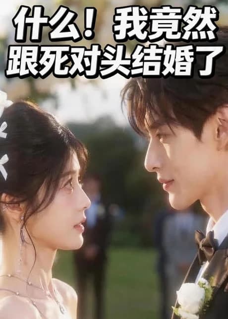 什么!我竟然跟死对头结婚了海报