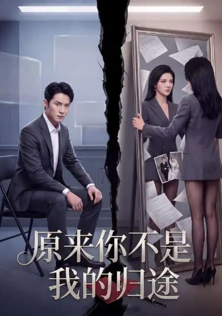 原来你不是我的归途海报