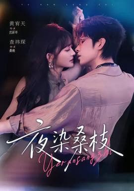 夜染桑枝海报